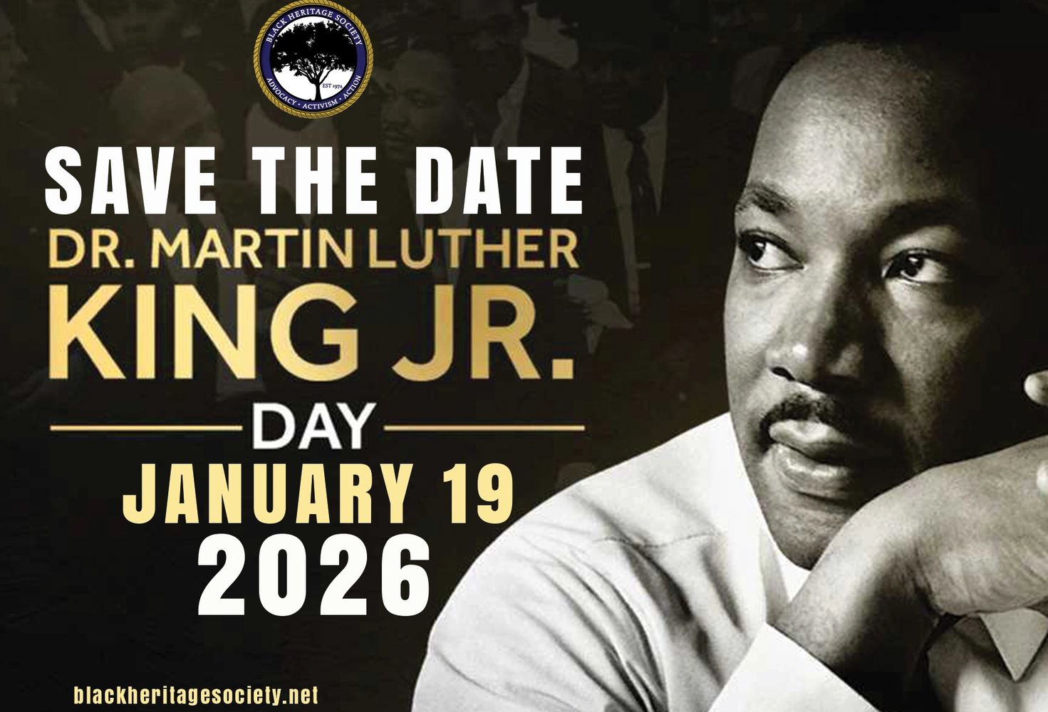 MLK Parade Houston